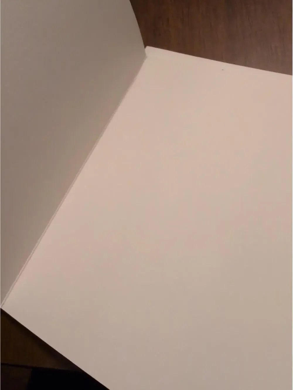 St. Anthonys Church Evansville Indiana blank card set of 3 Catholic church drawn
